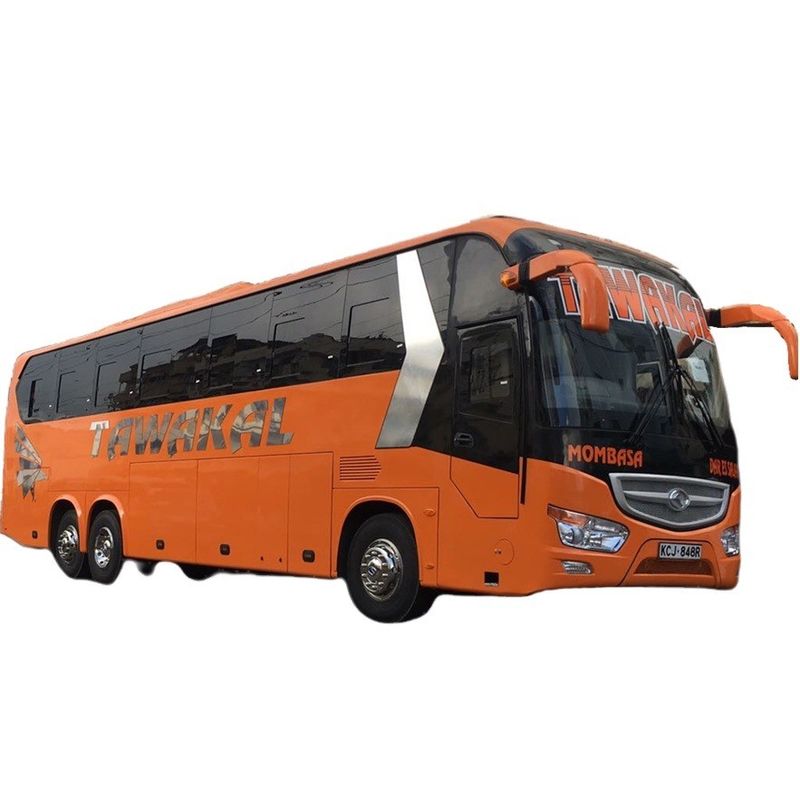 Directe levering Diesel 50 zitplaatsen bus met hoge capaciteit en dubbel muntbanden