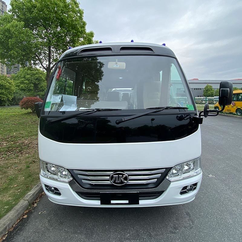 Deisel Fuel 21 1 zitplaatsen RHD LHD model achtbaanbus voor uw vervoersbehoeften