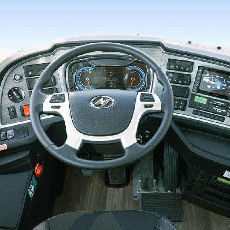 Weichai Motor 24 zitplaatsen LHD Diesel Passagiersbussen Luxe Coach voor de Afrikaanse markt