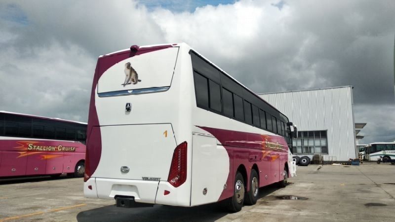 55 zitplaatsen LHD Drive Type Luxe Coaches voor stadsbussen Beste keuze